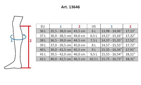 13646_6