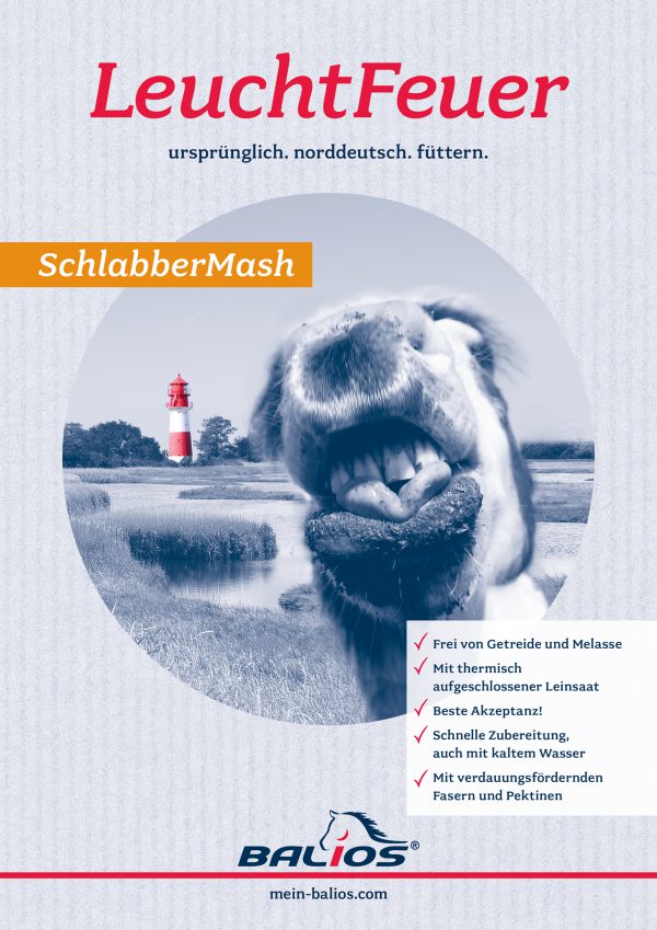 leuchtfeuer_schlabbermash.jpg